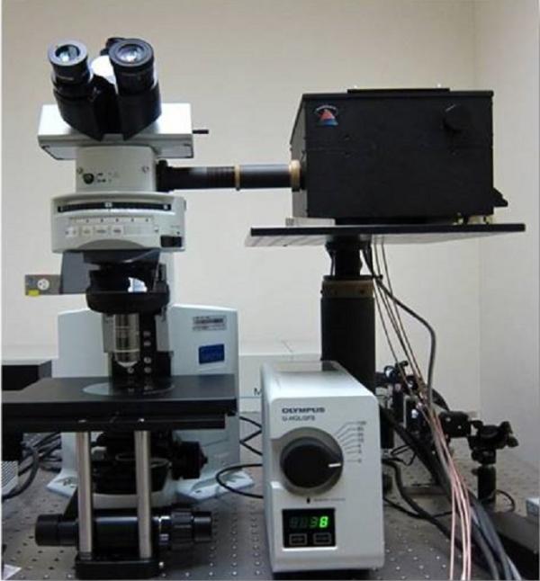 Laser Scanning Confocal Microscope System